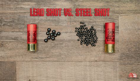 Steel Verses Lead Shot 